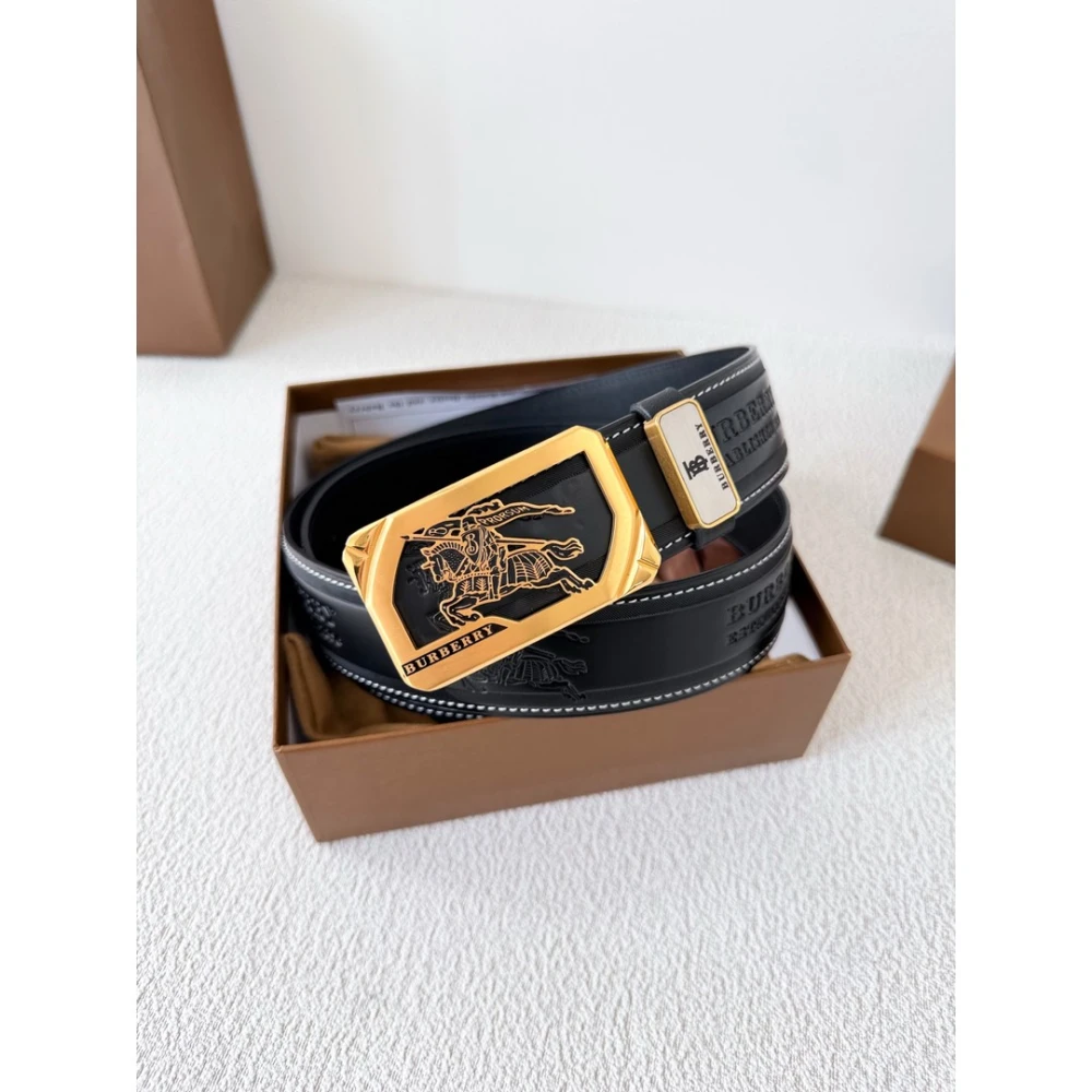 BR Belt / Multicolor - image