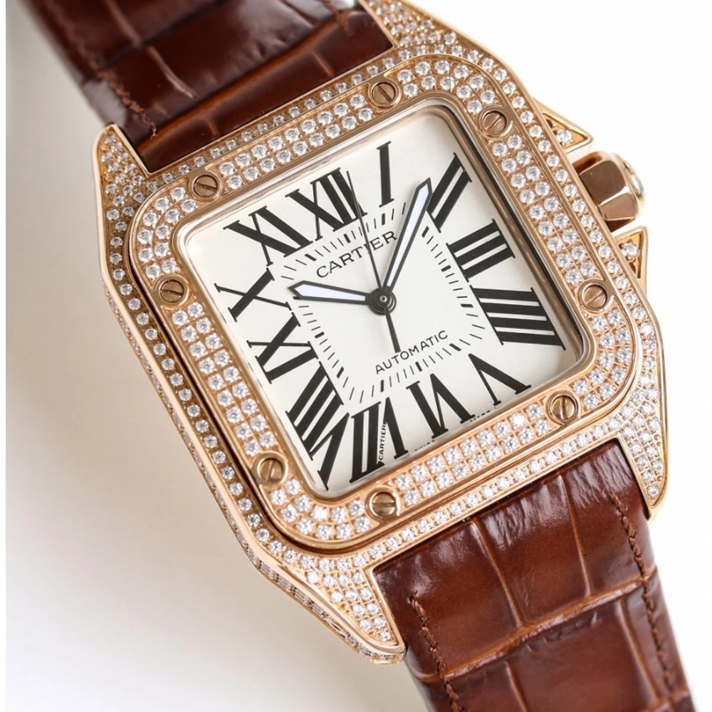 CAR Santos 100 Leather / Multiple Colors - image