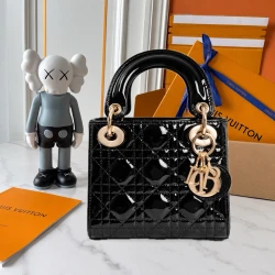 CD / Lady Dior Patent Mini / Multicolor