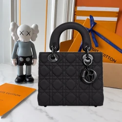 CD / Lady Dior Matte Small / Multicolor