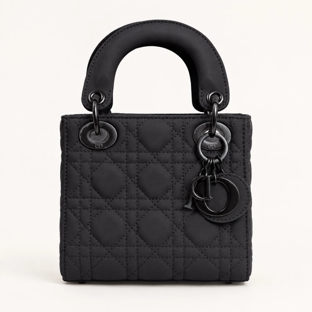 CD / Lady Dior Matte Mini / Multicolor - image