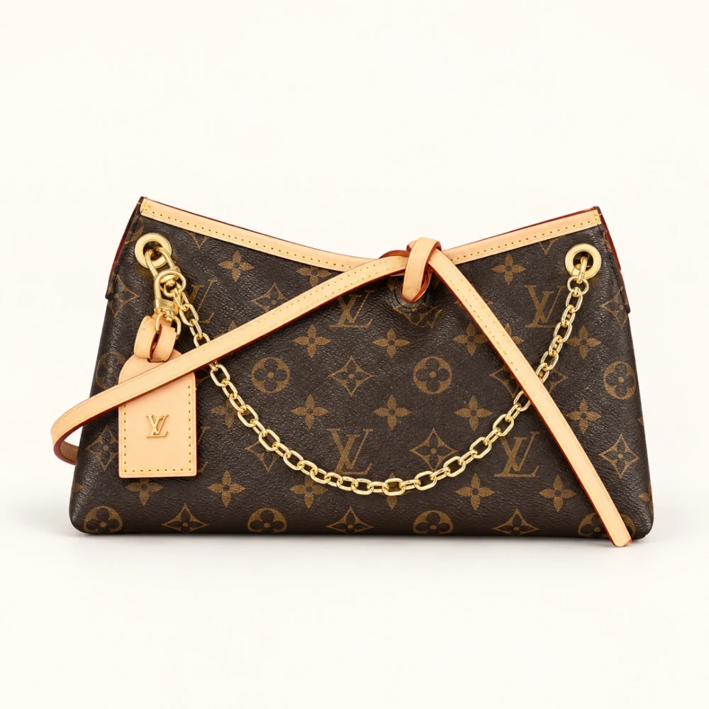LV / CarryAll BB / Monogram Brown - image
