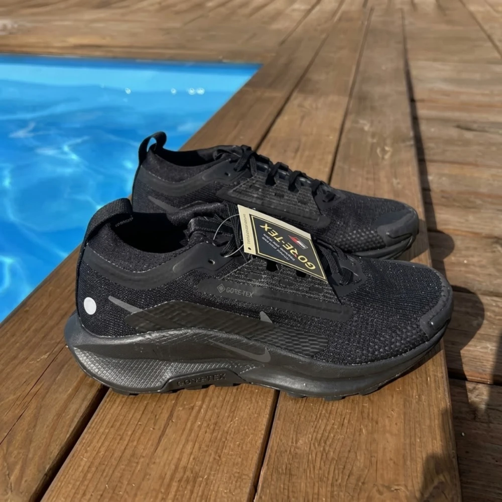Nike Pegasus Trail 5 Gore-Tex - image