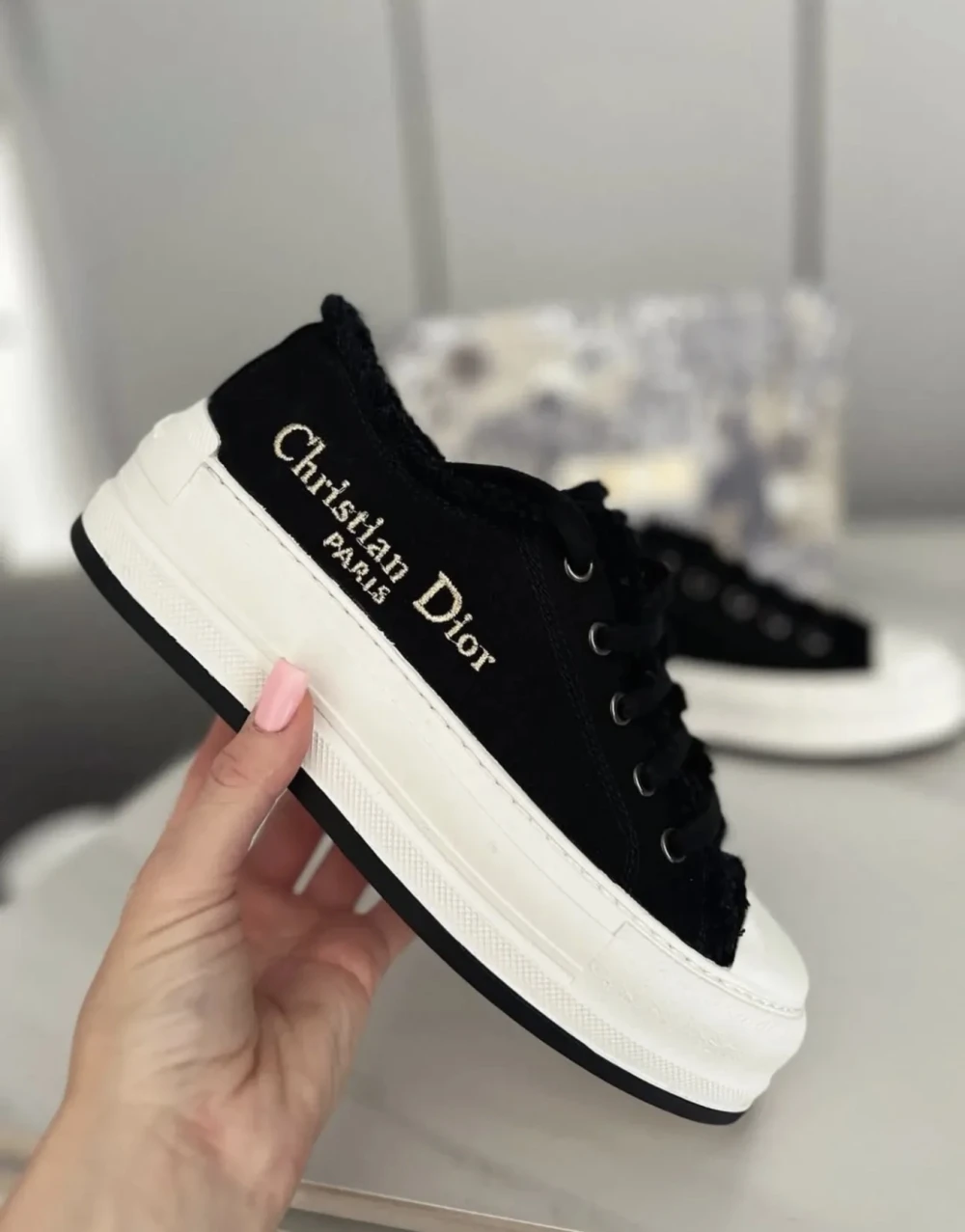 Dior Walk'n'Dior Sneaker "Black Canvas with Gold Signature" - image
