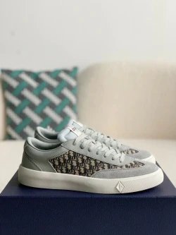 Dior B23 Low / Brown / Light Grey / Grey