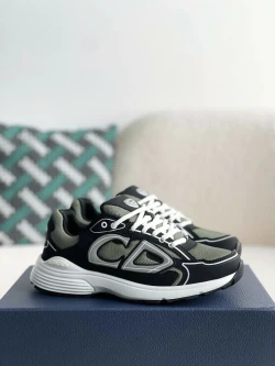 Dior B30 / Light Grey / Brown / Grey