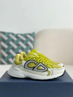 Dior B30 / Light Grey / Brown / Grey