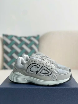 Dior B30 / Light Grey / Grey / Brown