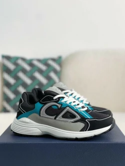 Dior B30 / Light Grey / Brown / Charcoal