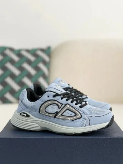 Dior B30 / Light Grey / Brown / Grey