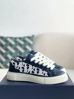 Dior B33 / Light Grey / Brown / Grey