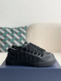 Dior B33 / Light Grey / Black / Brown