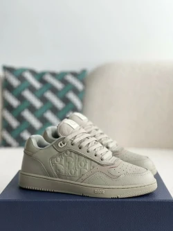 Dior B27 / Light Grey / Brown / Charcoal