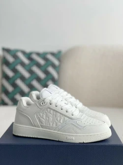 Dior B27 / Light Grey / Grey / Brown