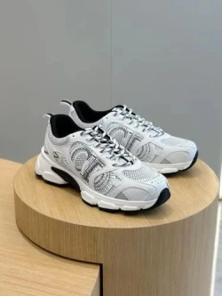 Dior B30 White/Gray