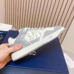 Dior B27 Low Top Oblique White/Gray