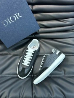 Dior B27 Low Top Gray/White