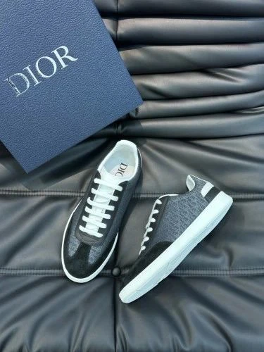 Dior B27 Low Top Gray/White - image