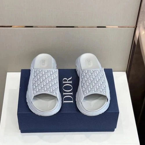 Dior Slide Oblique Gray - image