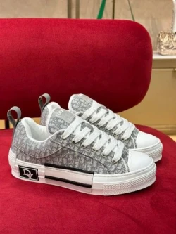 Dior B23 Low Top Oblique White/Black