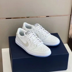 Dior B27 Low Top White/Gray