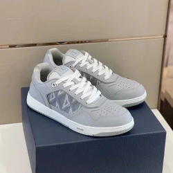 Dior B27 Low Top White/Gray