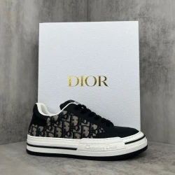 Dior B23 Low Top Oblique Black/White