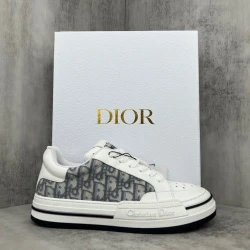 Dior B23 Low Top Oblique White/Beige