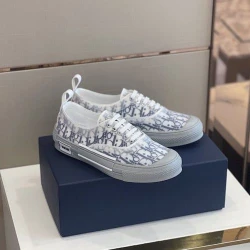 Dior B23 Low Top Oblique White/Gray