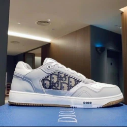 Dior B27 Low Top Oblique White/Blue