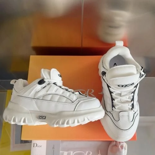 Dior B22 White/Gray - image